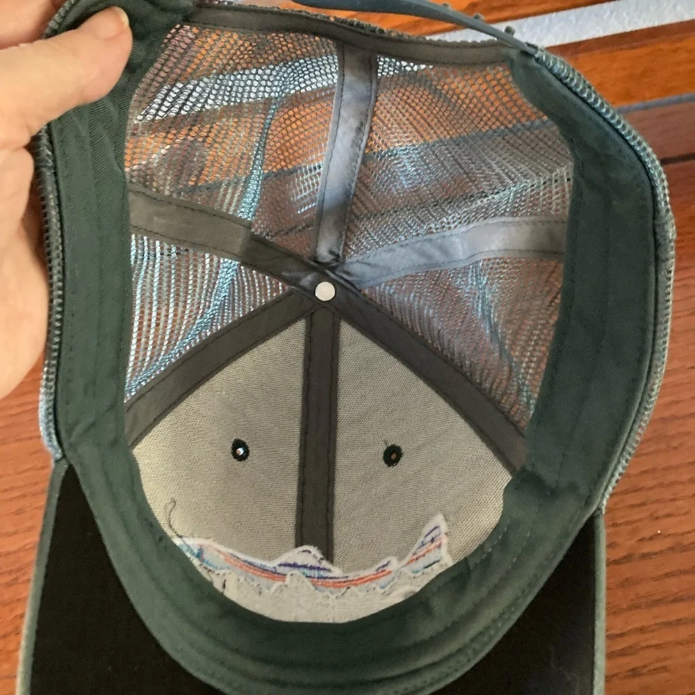 Patagonia Fitz Roy Trout Ball Cap Hat